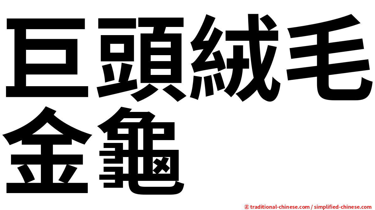 巨頭絨毛金龜