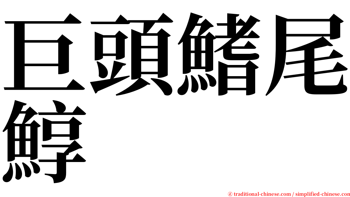 巨頭鰭尾鯙 serif font