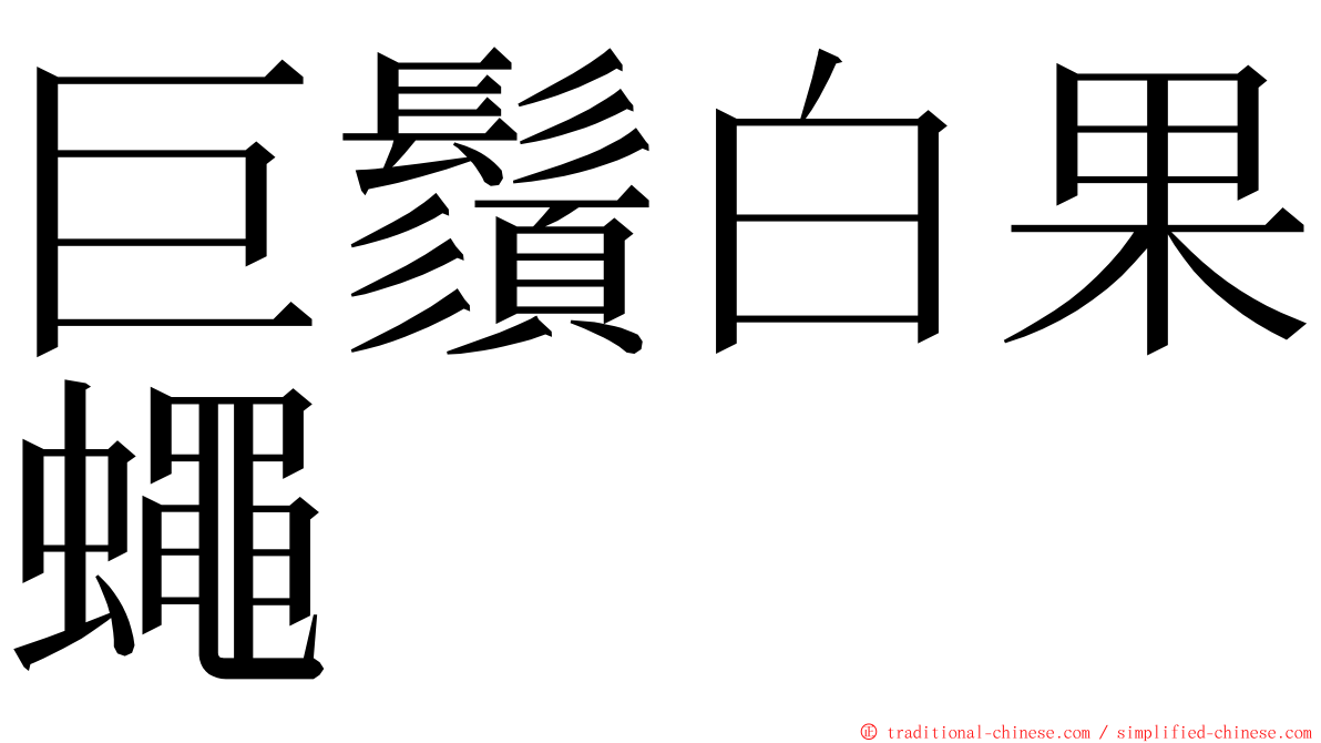 巨鬚白果蠅 ming font