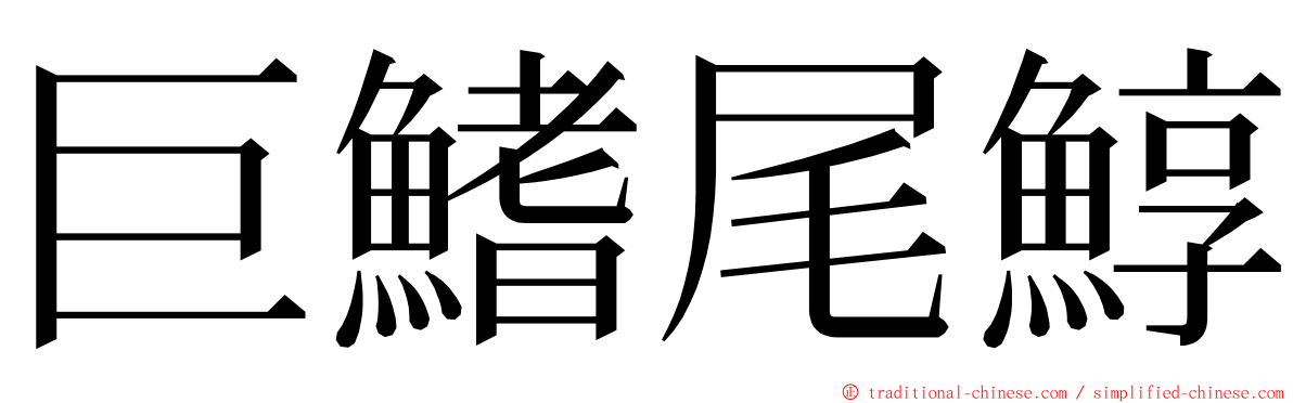 巨鰭尾鯙 ming font