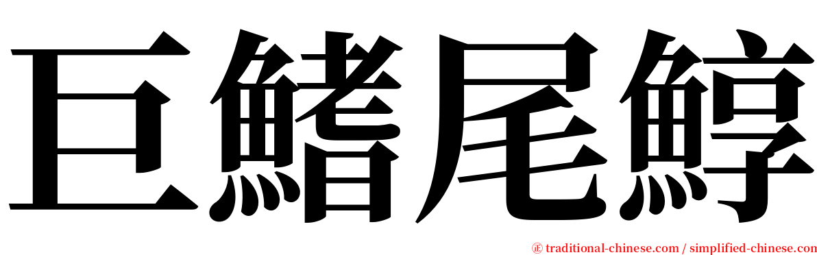 巨鰭尾鯙 serif font