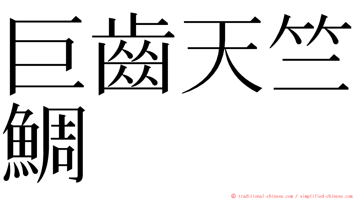 巨齒天竺鯛 ming font