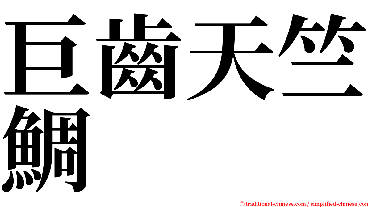 巨齒天竺鯛 serif font