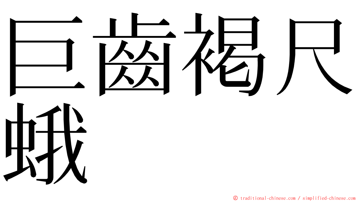 巨齒褐尺蛾 ming font