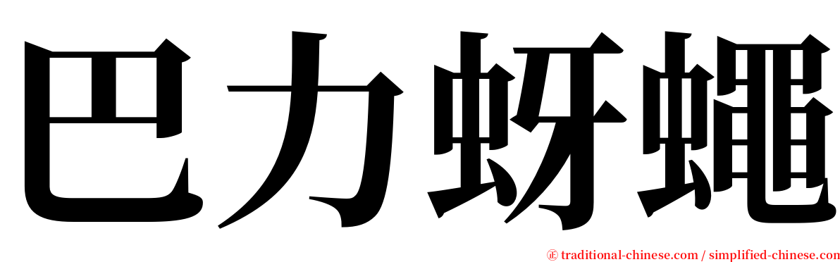 巴力蚜蠅 serif font