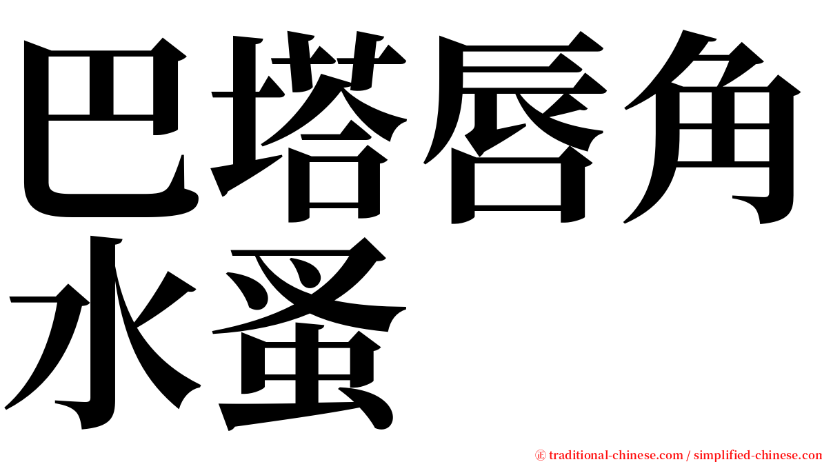 巴塔唇角水蚤 serif font