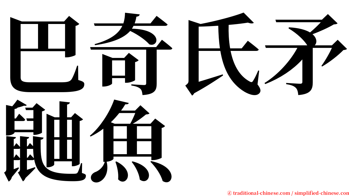 巴奇氏矛鼬魚 serif font