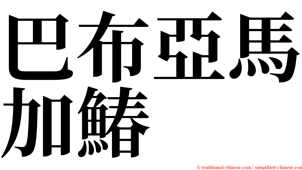 巴布亞馬加鰆 serif font