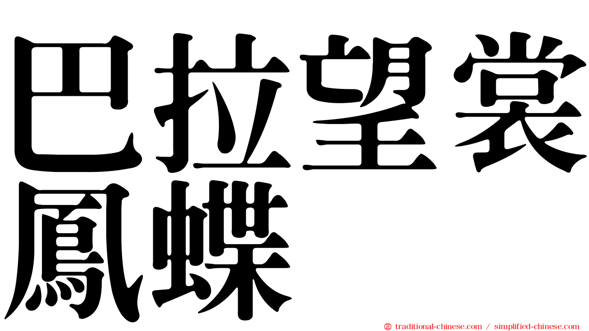 巴拉望裳鳳蝶