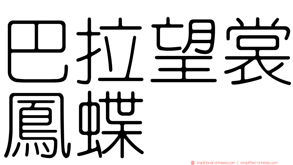 巴拉望裳鳳蝶