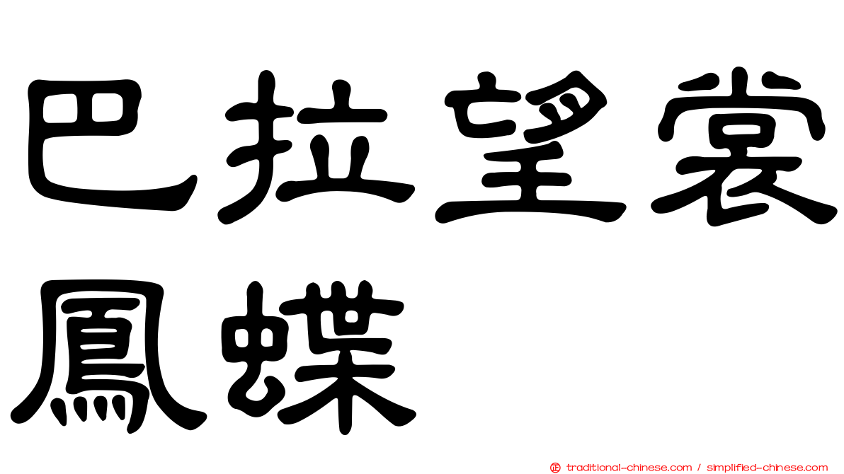 巴拉望裳鳳蝶