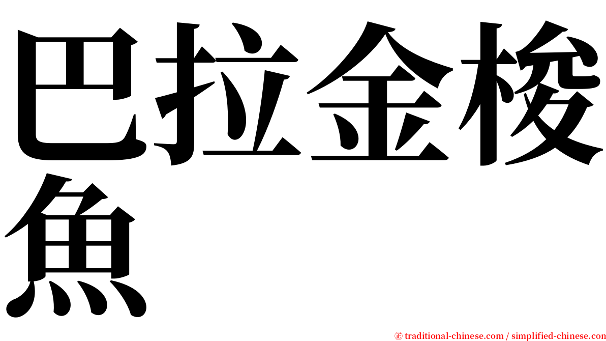 巴拉金梭魚 serif font