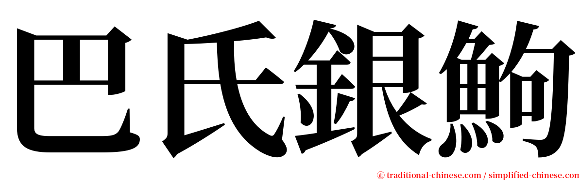 巴氏銀鮈 serif font