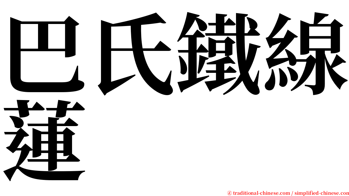 巴氏鐵線蓮 serif font