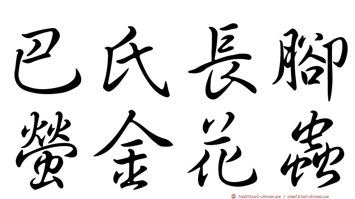 巴氏長腳螢金花蟲