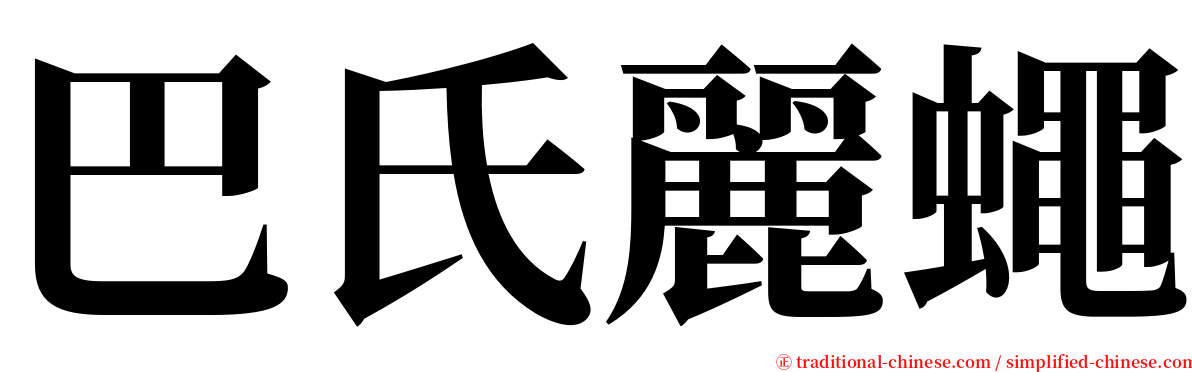 巴氏麗蠅 serif font