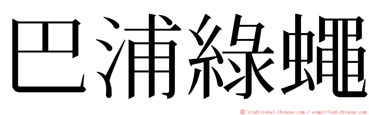 巴浦綠蠅 ming font