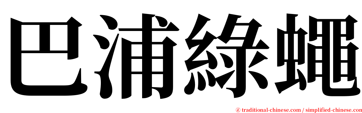 巴浦綠蠅 serif font