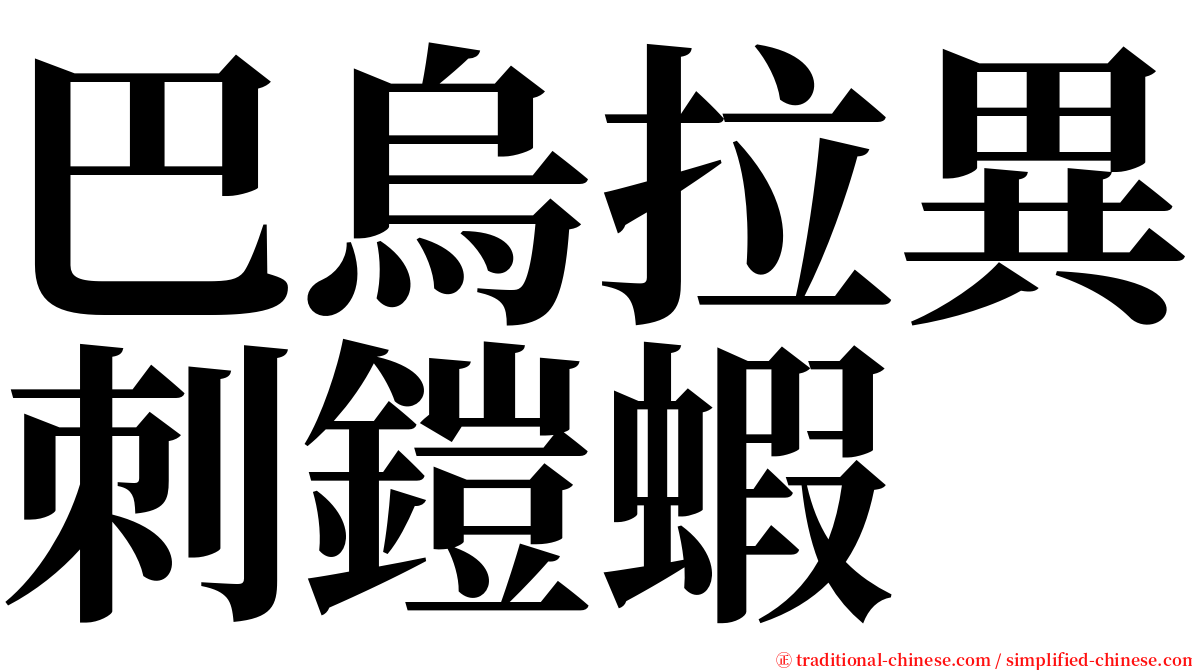 巴烏拉異刺鎧蝦 serif font