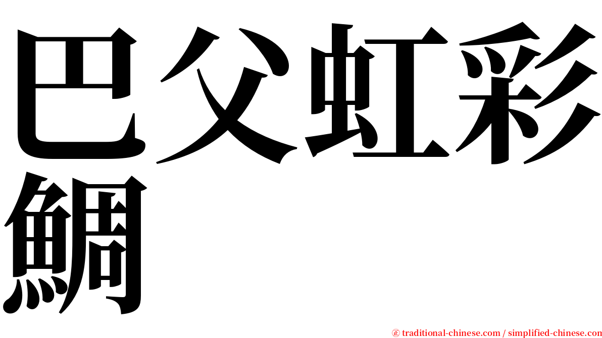 巴父虹彩鯛 serif font