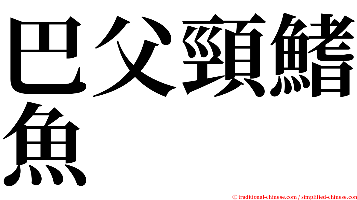 巴父頸鰭魚 serif font