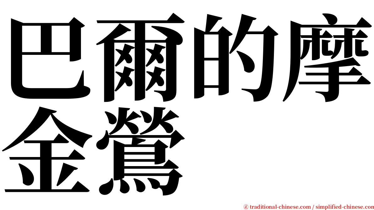 巴爾的摩金鶯 serif font