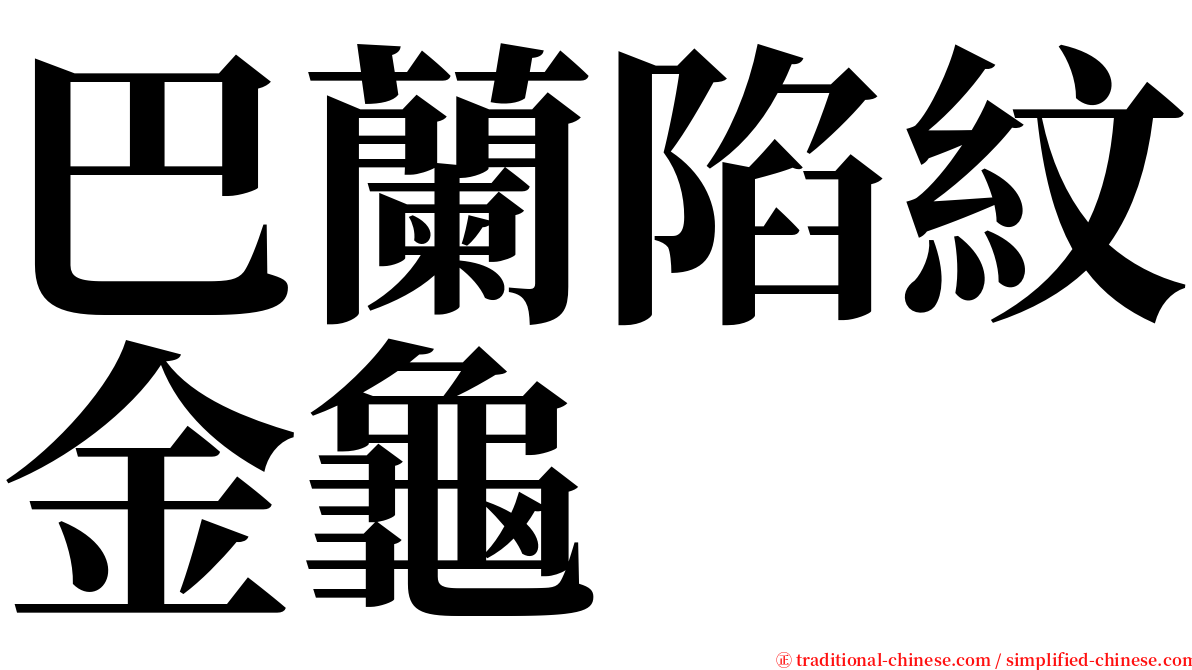 巴蘭陷紋金龜 serif font