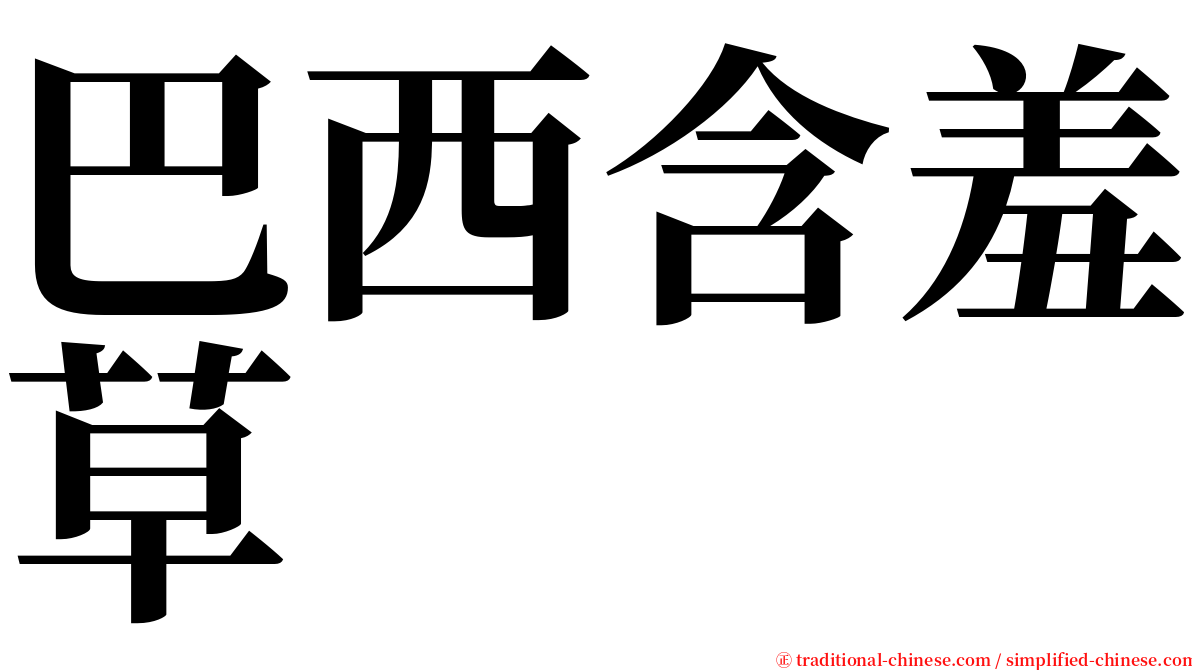 巴西含羞草 serif font