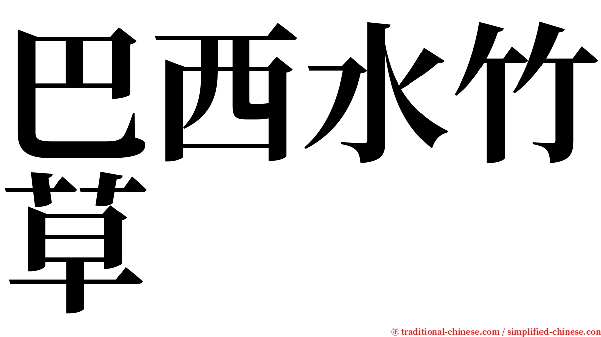 巴西水竹草 serif font