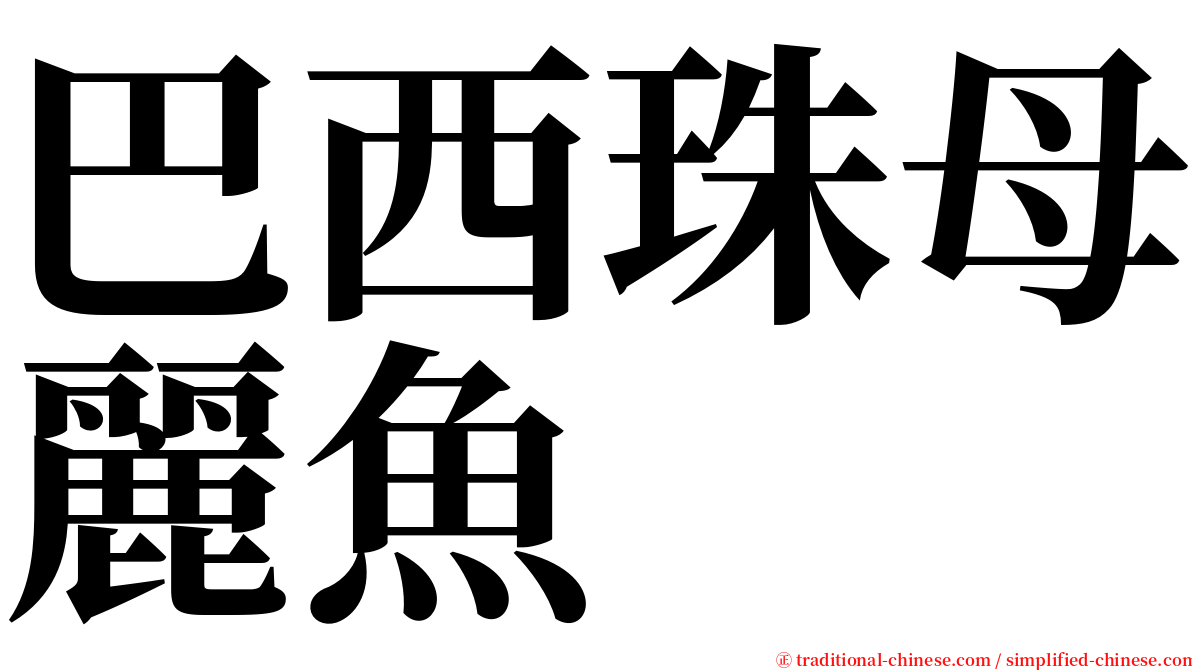 巴西珠母麗魚 serif font