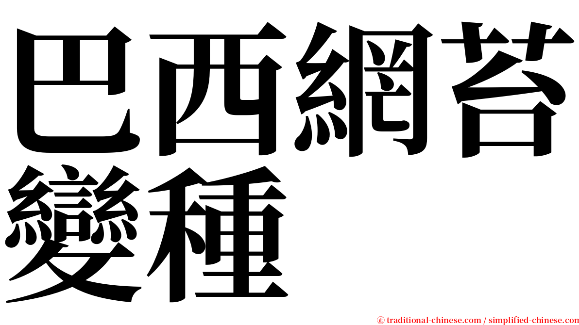 巴西網苔變種 serif font