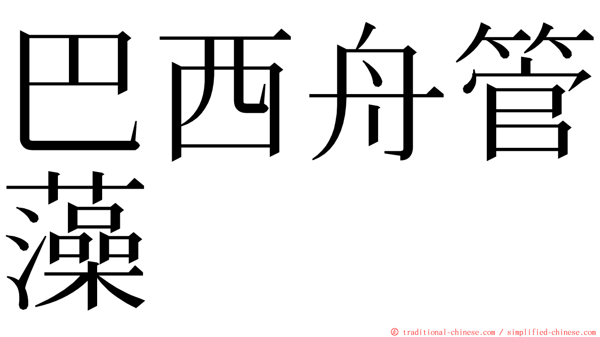 巴西舟管藻 ming font