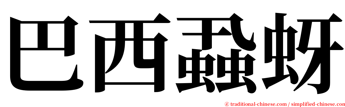 巴西蝨蚜 serif font