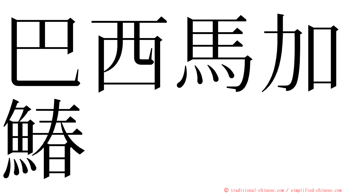 巴西馬加鰆 ming font