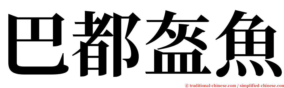 巴都盔魚 serif font