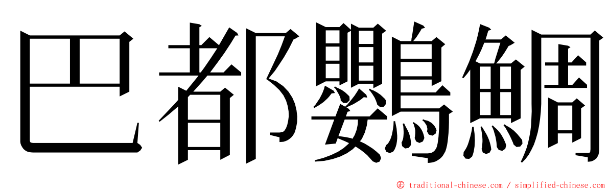 巴都鸚鯛 ming font