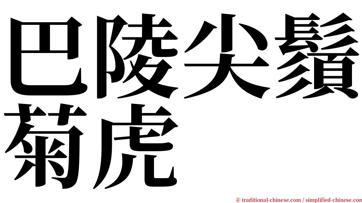 巴陵尖鬚菊虎 serif font