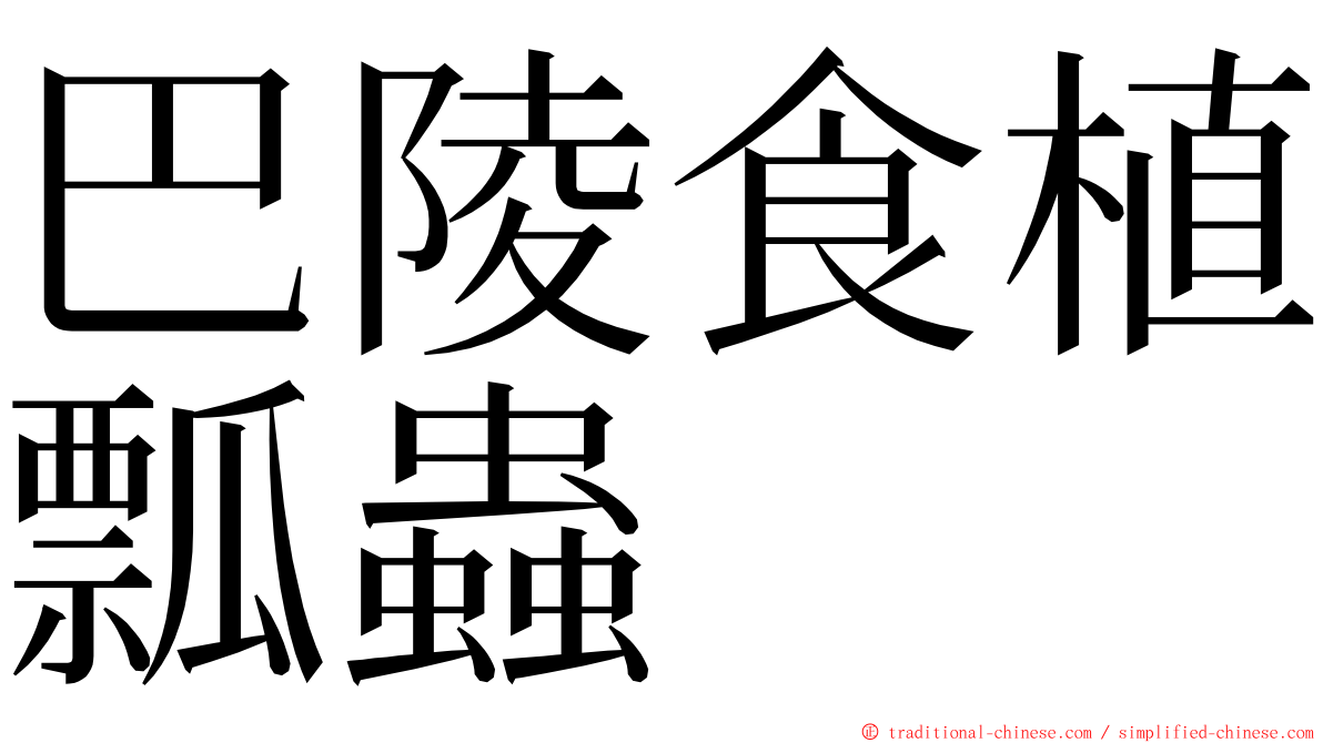 巴陵食植瓢蟲 ming font