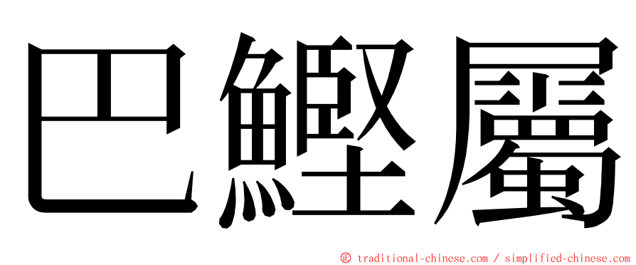 巴鰹屬 ming font