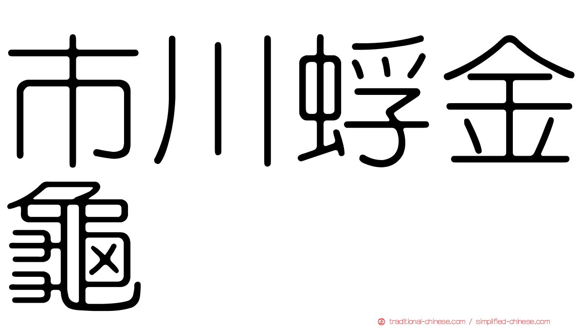 市川蜉金龜