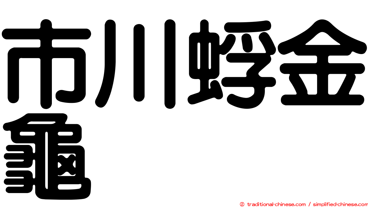 市川蜉金龜