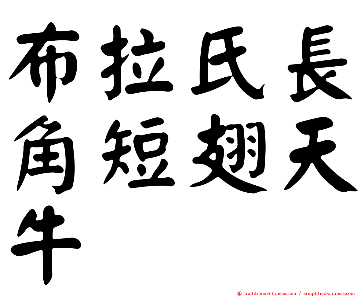 布拉氏長角短翅天牛