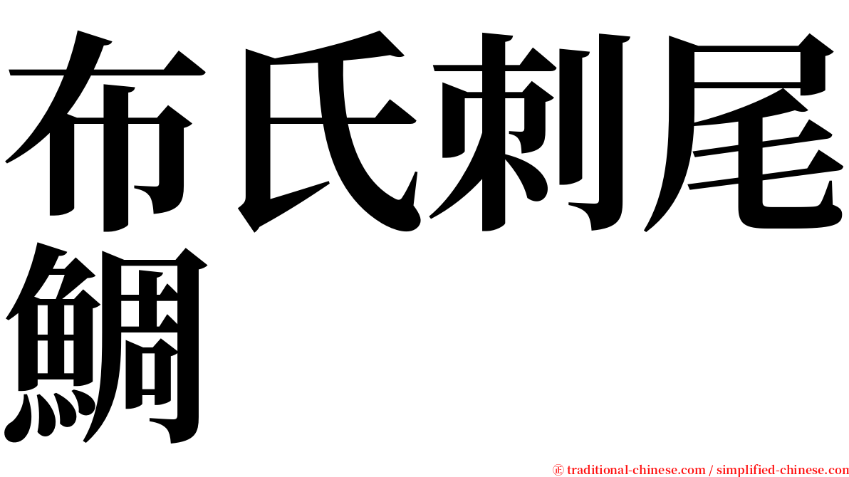 布氏刺尾鯛 serif font