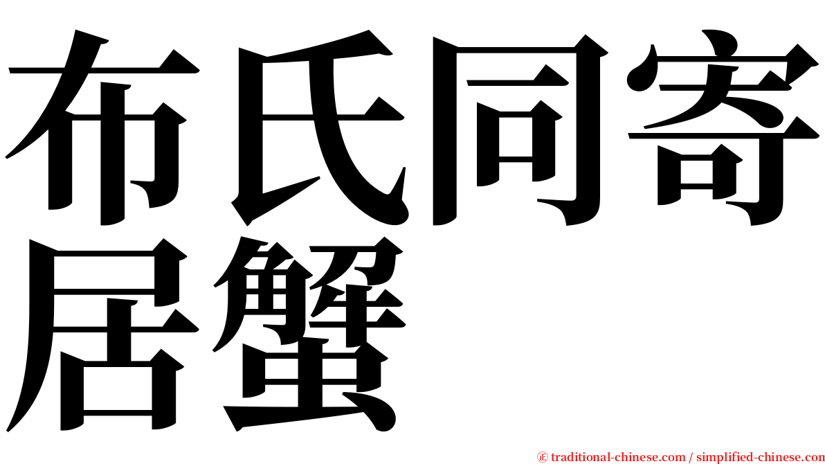 布氏同寄居蟹 serif font