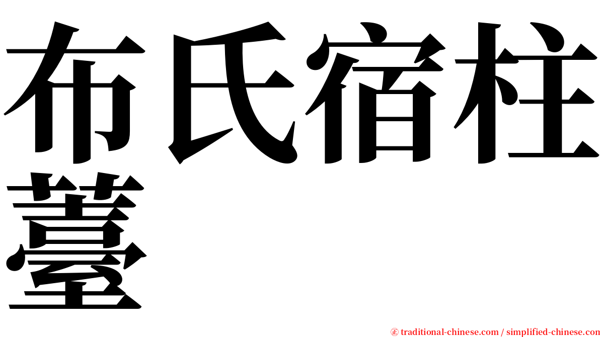 布氏宿柱薹 serif font