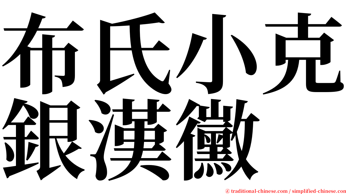 布氏小克銀漢黴 serif font