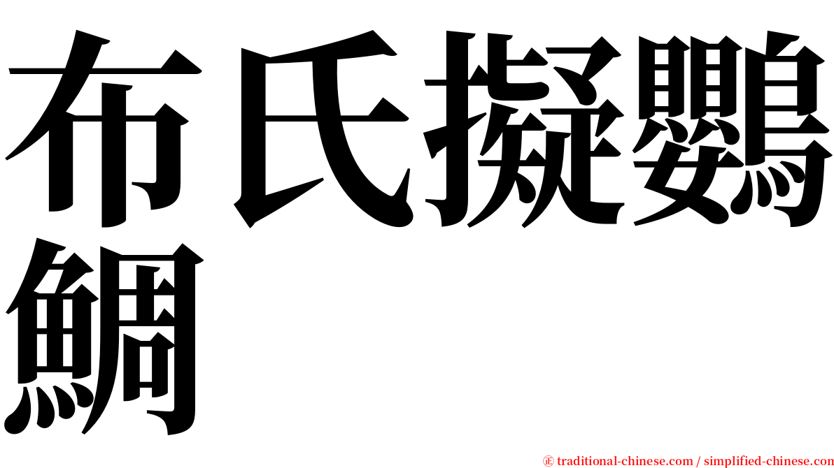 布氏擬鸚鯛 serif font
