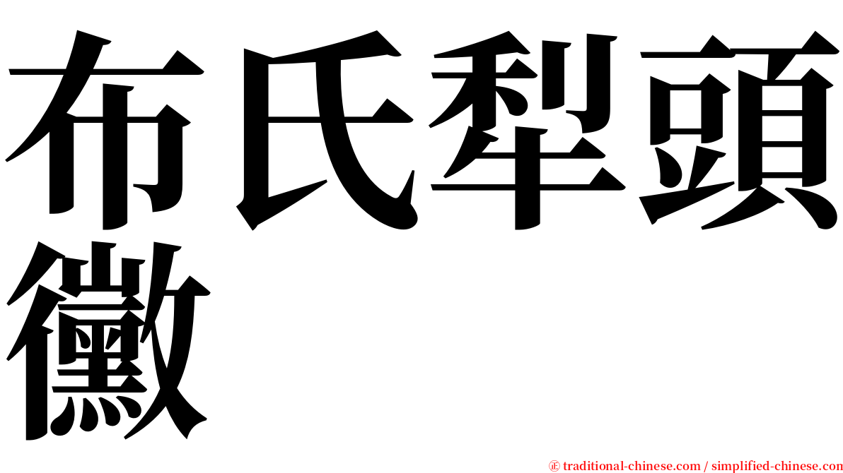 布氏犁頭黴 serif font