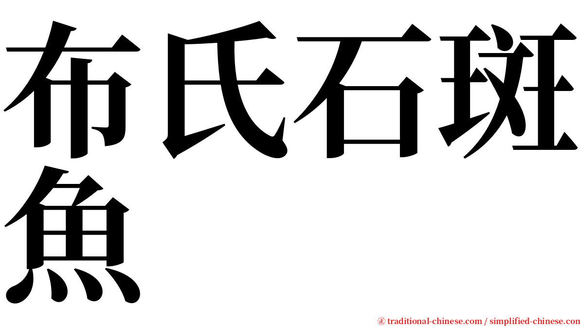 布氏石斑魚 serif font