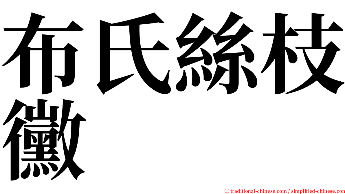 布氏絲枝黴 serif font